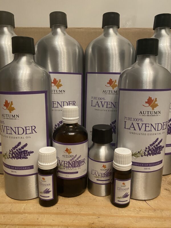 Lavender Oil