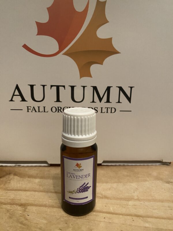 Lavender Oil - Image 2